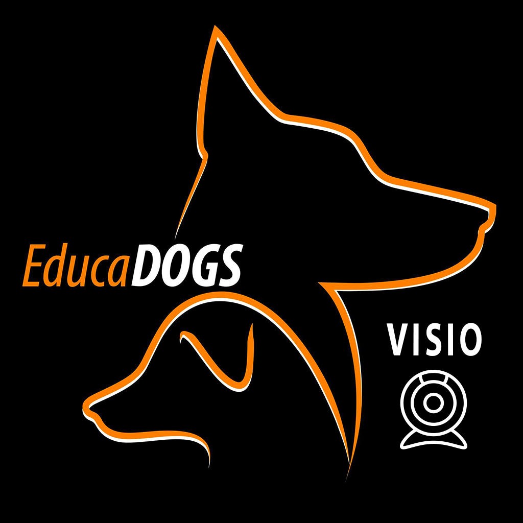 Educadogsvisio